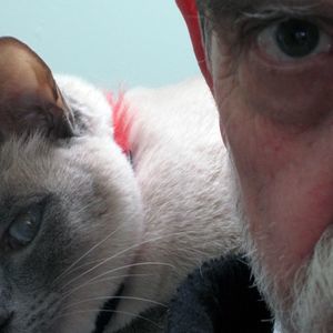 Meet your Posher, Howard